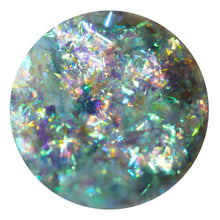 Load image into Gallery viewer, DiSCO FLAKE
