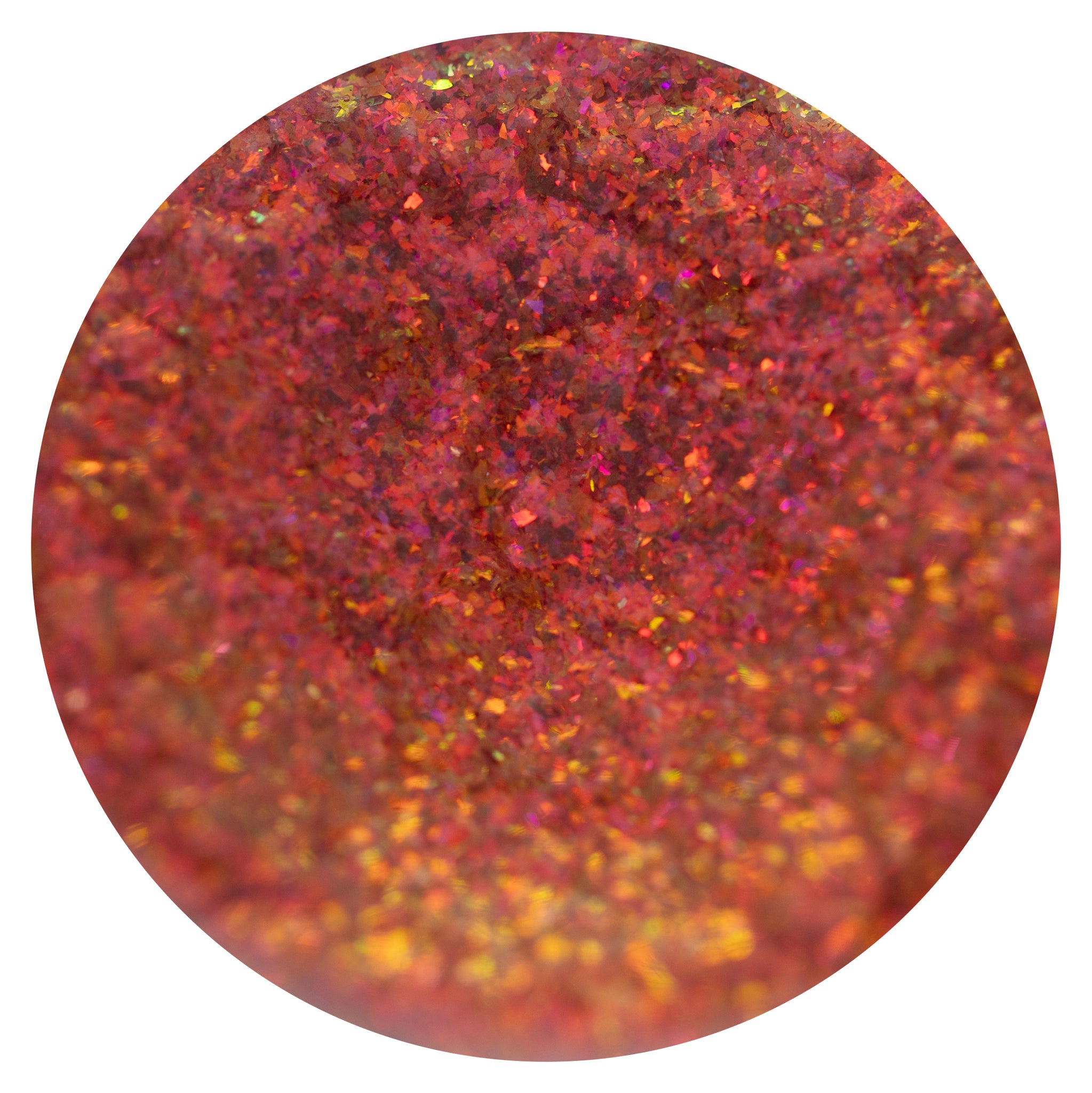 Timmaree Rocks EXTREME PIGMENT – Timaree Cosmetics